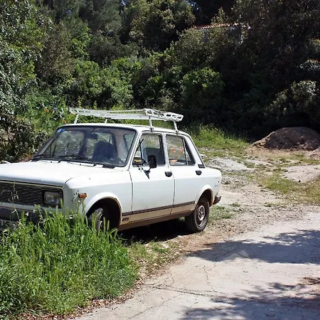 Pomena 10426b Appartement